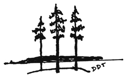 Three pines